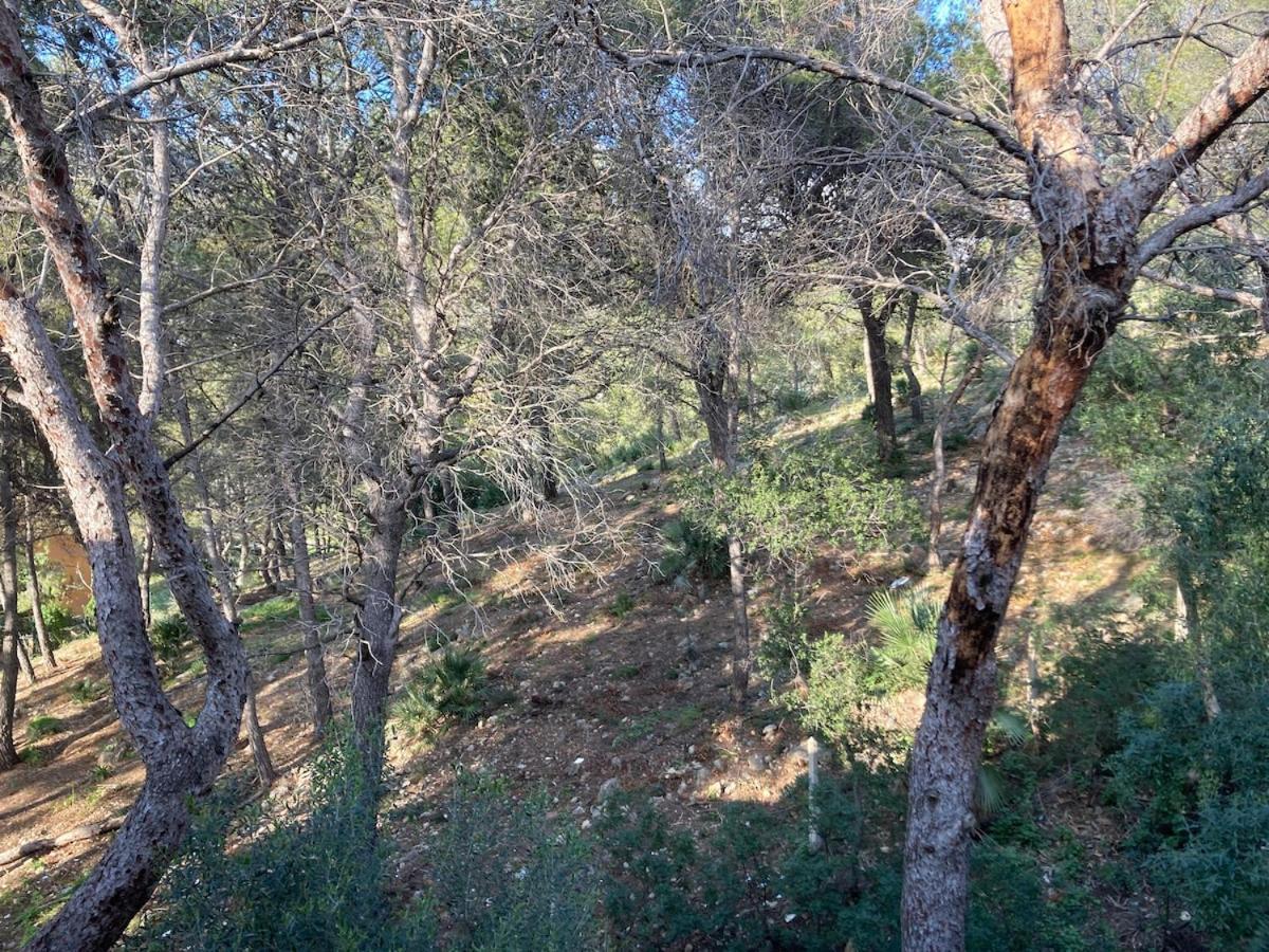 Apartamento Con Vistas Al Mar Castelldefels Extérieur photo